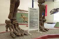 Dinosaur Argentinosaurus 2 robin linhope willson, CAPat 