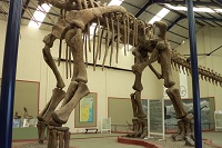 Dinosaur Argentinosaurus 3 robin linhope willson, CAPat 