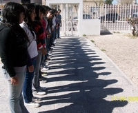 equi-umbra madryn 736